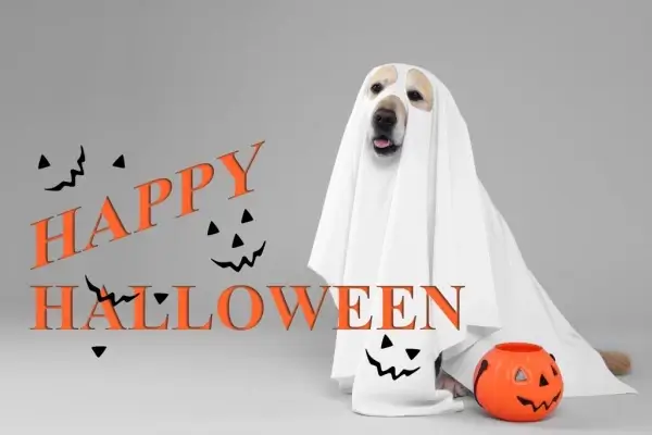 Happy Halloween from Séverine Mortgage